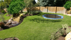 backyard bottle trees